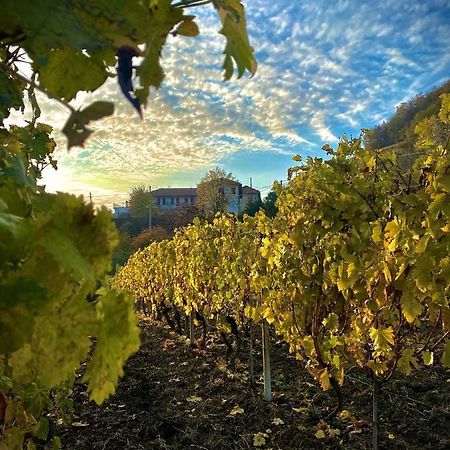 Agriturismo Pian Del Duca Vesime Luaran gambar