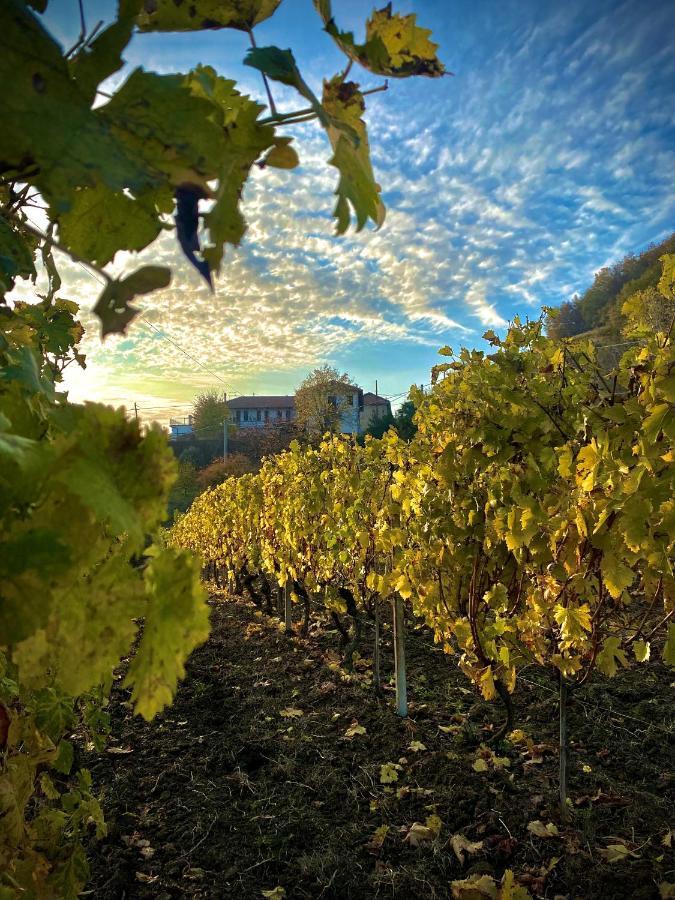 Agriturismo Pian Del Duca Vesime Luaran gambar