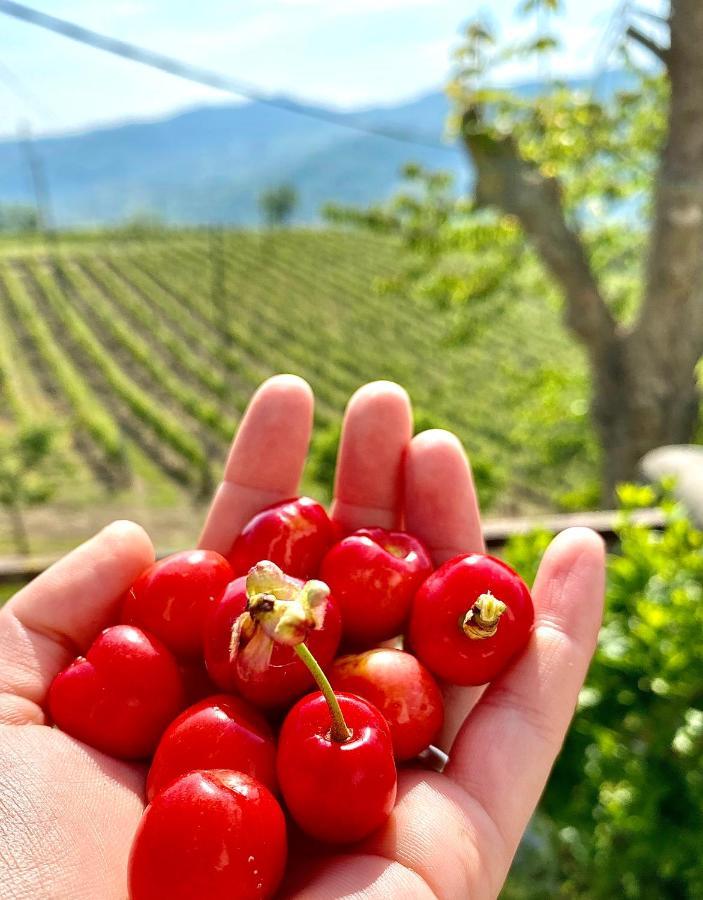 Agriturismo Pian Del Duca Vesime Luaran gambar