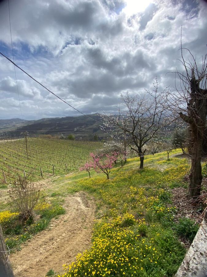 Agriturismo Pian Del Duca Vesime Luaran gambar