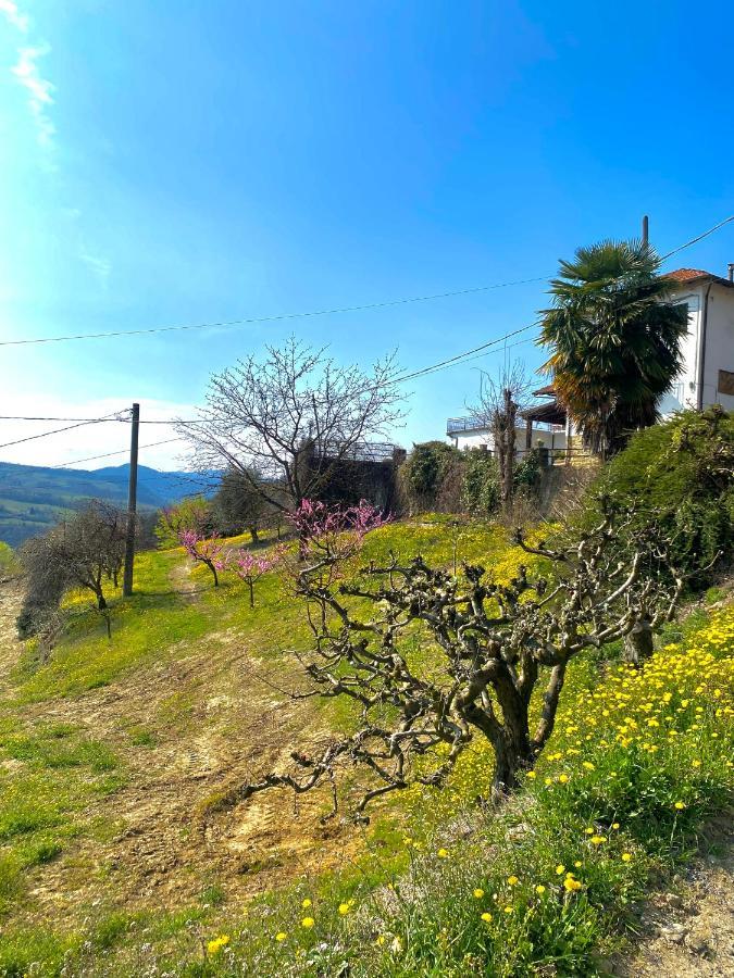 Agriturismo Pian Del Duca Vesime Luaran gambar