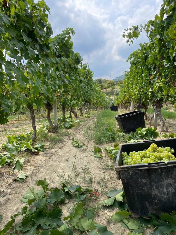 Agriturismo Pian Del Duca Vesime Luaran gambar