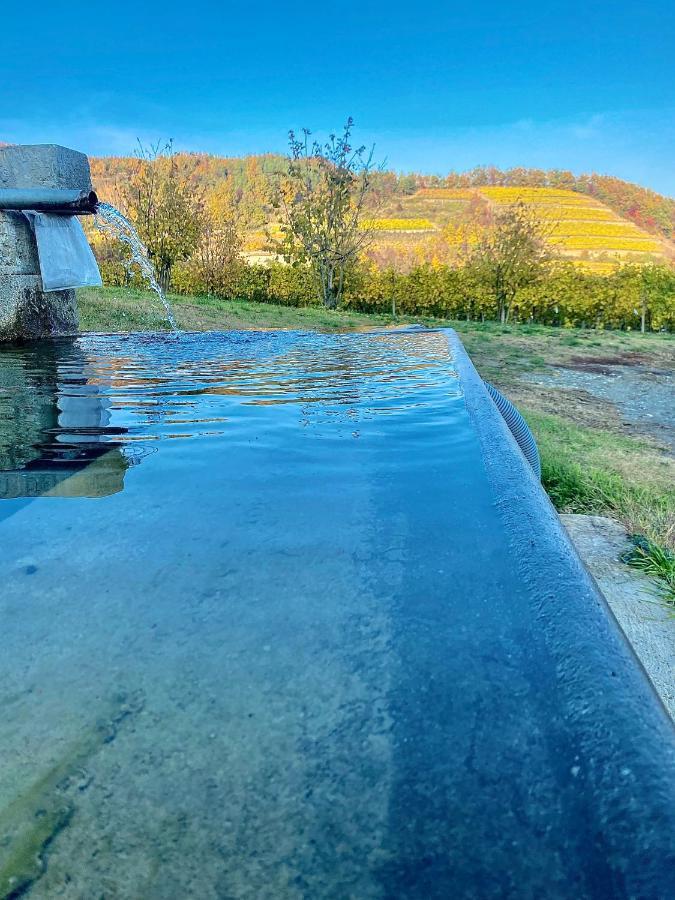 Agriturismo Pian Del Duca Vesime Luaran gambar