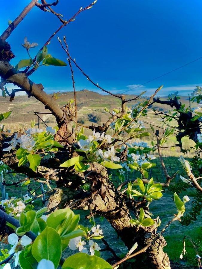 Agriturismo Pian Del Duca Vesime Luaran gambar