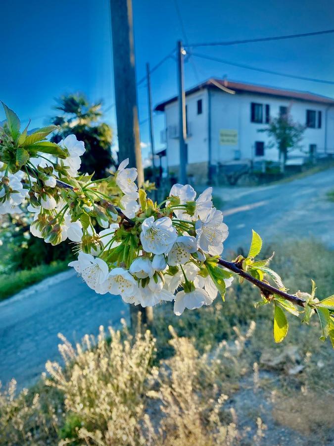 Agriturismo Pian Del Duca Vesime Luaran gambar