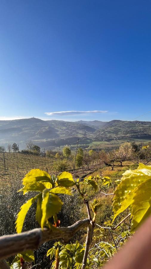 Agriturismo Pian Del Duca Vesime Luaran gambar
